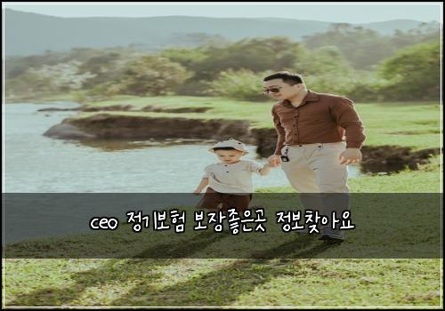 ceo 정기보험 보장좋은곳  정보찾아요