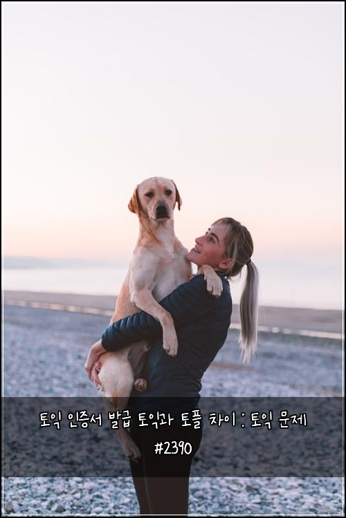 토익 인증서 발급 토익과 토플 차이 : 토익 문제 #2390