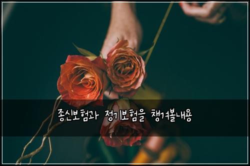 종신보험과 정기보험을 챙겨볼내용