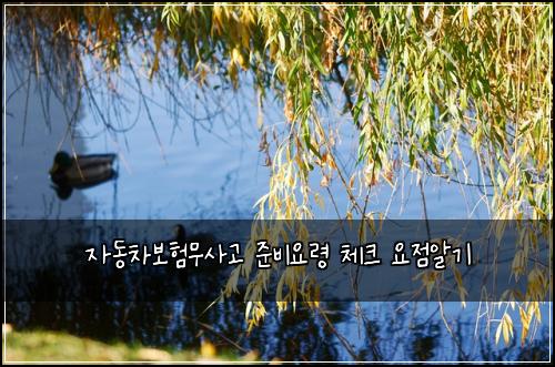 ์๋์ฐจ๋ณดํ๋ฌด์ฌ๊ณ ์ค๋น์๋ น ์ฒดํฌ ์์ ์๊ธฐ
