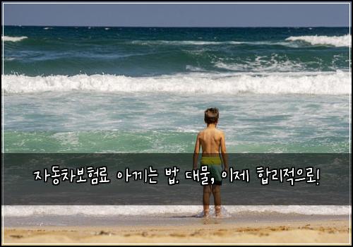 자동차보험료 아끼는 법: 대물, 이제 합리적으로!