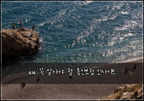 aia 꼭 알아야 할 종신보험 인사이트