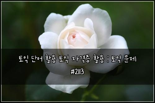 토익 단어 활용 토익 자격증 활용 : 토익 문제 #2113