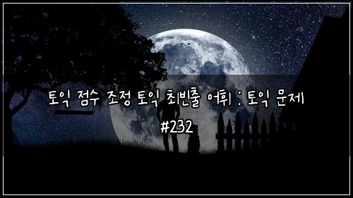 토익 점수 조정 토익 최빈출 어휘 : 토익 문제 #232
