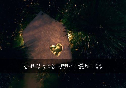 현대해상 암보험, 현명하게 절충하는 방법
