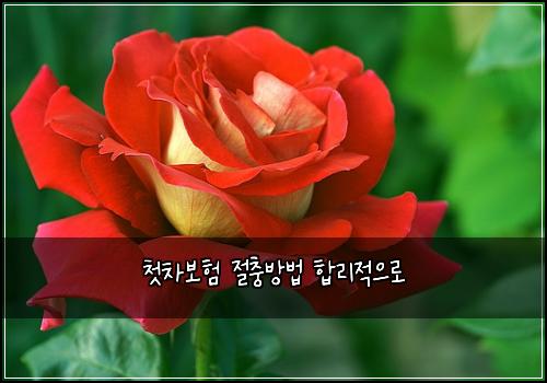 첫차보ν μ μΆ©λ°©λ² ν©λ¦¬μ μΌλ‘