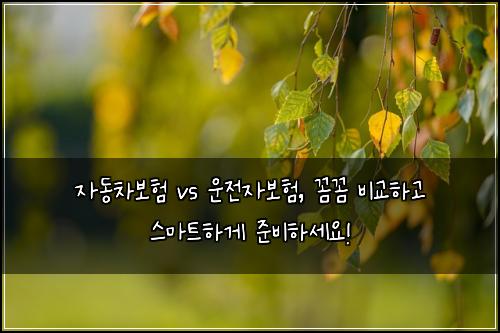 자동차보험 vs 운전자보험, 꼼꼼 비교하고 스마트하게 준비하세요!