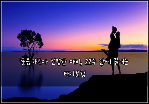  초음파보다 선명한 대비, 22주 안에 끝내는 태아보험