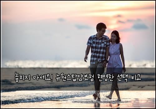  놓치지 마세요! 뉴원스탑암보험 현명한 선택 비교