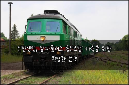 신한생명, 알파플러스 종신보험: 가족을 위한 현명한 선택