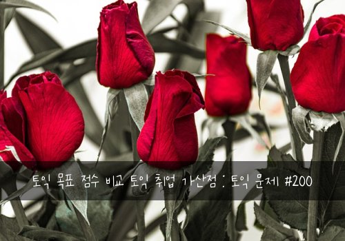 토익 목표 점수 비교 토익 취업 가산점 : 토익 문제 #200