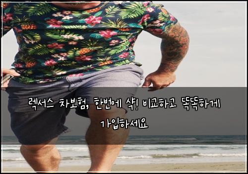  렉서스 차보험, 한번에 샥! 비교하고 똑똑하게 가입하세요