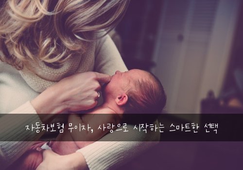 자동차보험 무이자, 사랑으로 시작하는 스마트한 선택