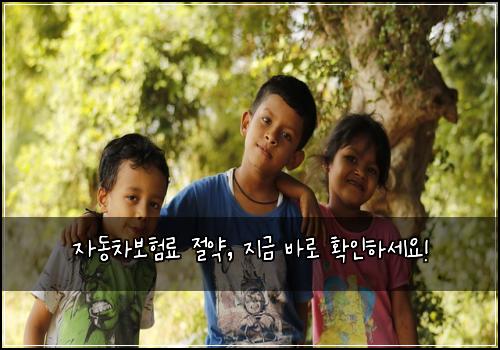 자동차보험료 절약, 지금 바로 확인하세요!