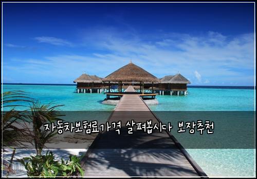 ์๋์ฐจ๋ณดํ๋ฃ๊ฐ๊ฒฉ ์ดํด๋ด
์๋ค ๋ณด์ฅ์ถ์ฒ