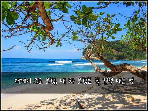 더케이 오토 보험, 내 차 보험료 퀵 견적 내는 법