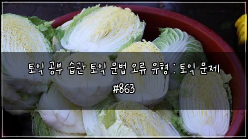 토익 공부 습관 토익 문법 오류 유형 : 토익 문제 #863