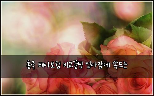 ํฅ๊ตญ ํ์๋ณดํ ๋น๊ต๊ฟํ ์๋ง๋ง์ ์๋๋