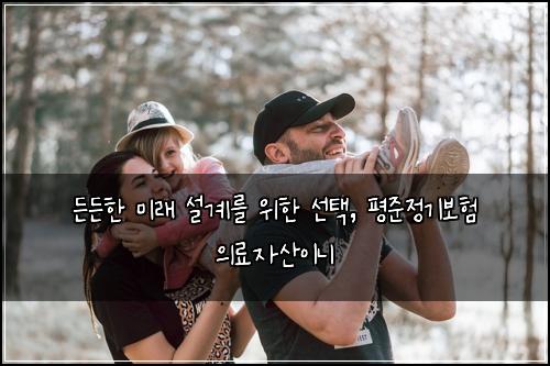  든든한 미래 설계를 위한 선택, 평준정기보험 의료자산이니