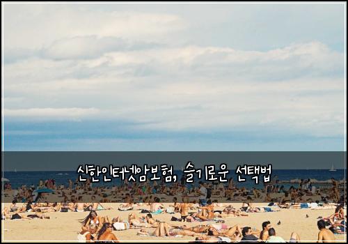 신한인터넷암보험, 슬기로운 선택법