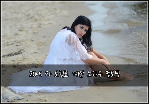 20๋ ์ฐจ ๋ณดํ๋ฃ ๊ณ์ฐ ๋
ธํ์ฐ ์ ๋ณดํ