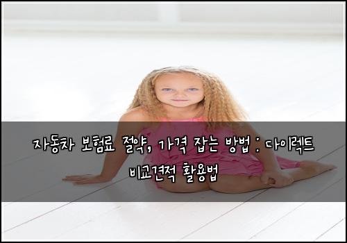  자동차 보험료 절약, 가격 잡는 방법 : 다이렉트 비교견적 활용법