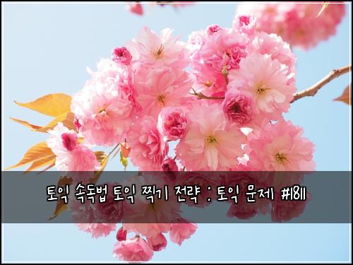 토익 속독법 토익 찍기 전략 : 토익 문제 #1811