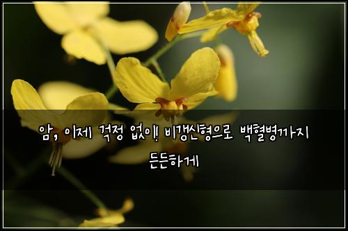 암, 이제 걱정 없이! 비갱신형으로 백혈병까지 든든하게
