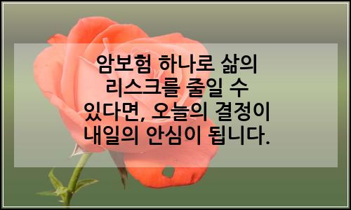 오늘의 이미지