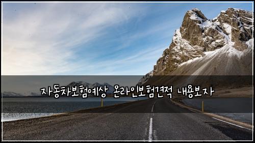 자동차보험예상 온라인보험견적 내용보자