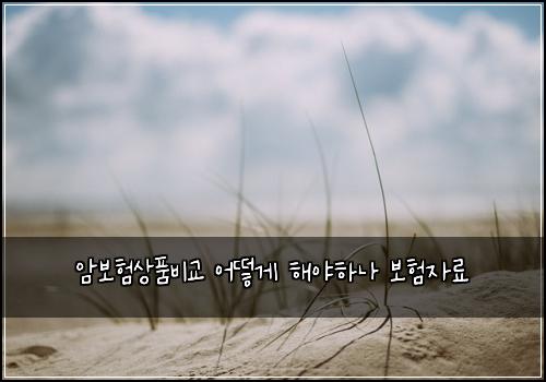 ์๋ณดํ์ํ๋น๊ต ์ด๋ป๊ฒ ํด์ผํ๋ ๋ณดํ์๋ฃ