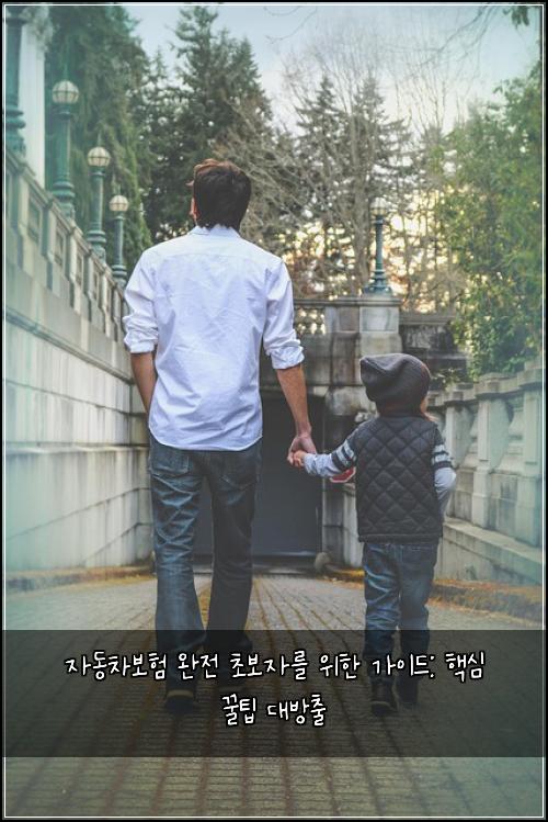  자동차보험 완전 초보자를 위한 가이드: 핵심 꿀팁 대방출