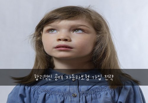  합리적인 공매 자동차보험 가입 전략