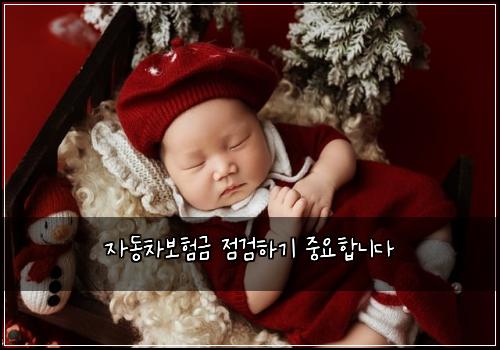 ์๋์ฐจ๋ณดํ๊ธ ์ ๊ฒํ๊ธฐ ์ค์ํฉ๋๋ค