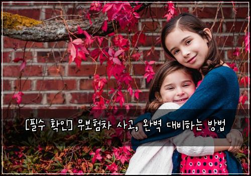  [필수 확인] 무보험차 사고, 완벽 대비하는 방법