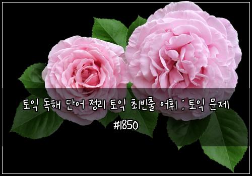 토익 독해 단어 정리 토익 최빈출 어휘 : 토익 문제 #1850