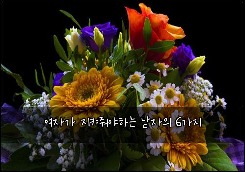 여자가 지켜줘야하는 남자의 6가지