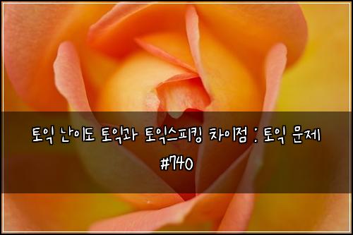 토익 난이도 토익과 토익스피킹 차이점 : 토익 문제 #740