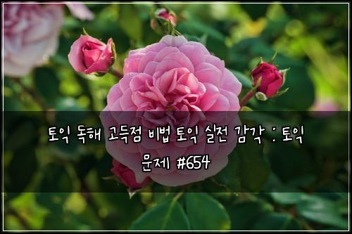토익 독해 고득점 비법 토익 실전 감각 : 토익 문제 #654
