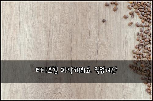 태아보험 파악해봐요  직접계산