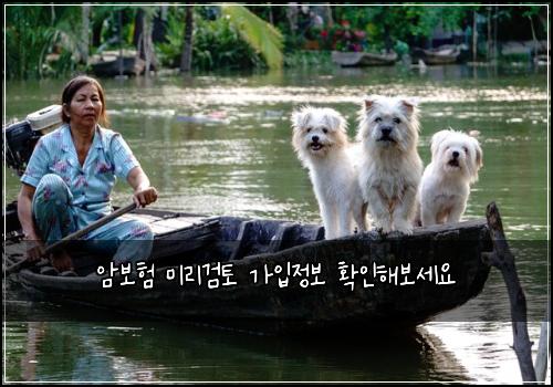 μ보ν 미리κ²ν κ°μ
μ 보 νμΈν΄λ³΄μΈμ