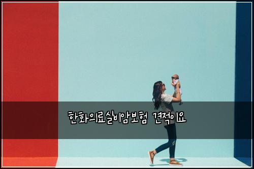 ννμλ£μ€λΉμ보ν 견μ μ΄μ
