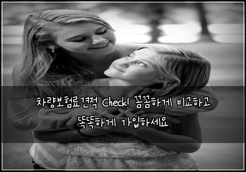 차량보험료견적 Check! 꼼꼼하게 비교하고 똑똑하게 가입하세요