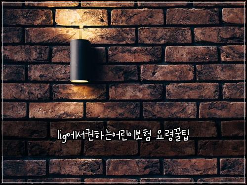 lig์์๊ถํ๋์ด๋ฆฐ์ด๋ณดํ ์๋ น๊ฟํ