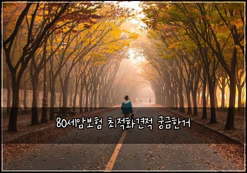 80세암보험 최적화견적  궁금한거