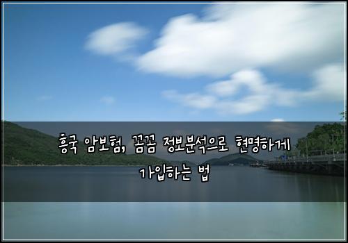흥국 암보험, 꼼꼼 정보분석으로 현명하게 가입하는 법