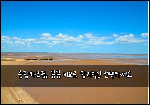 승합차보험, 꼼꼼 비교로 합리적인 선택하세요