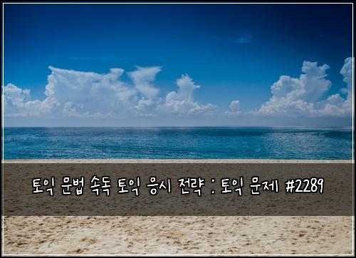 토익 문법 속독 토익 응시 전략 : 토익 문제 #2289