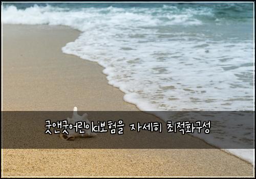 ๊ตฟ์ค๊ตฟ์ด๋ฆฐ์ดci๋ณดํ์ ์์ธํ ์ต์ ํ๊ตฌ์ฑ