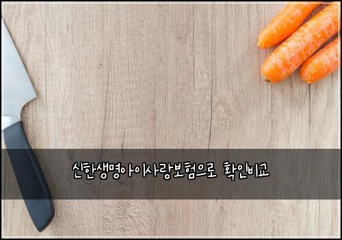 μ νμλͺ
μμ΄μ¬λ보νμΌλ‘ νμΈλΉκ΅
